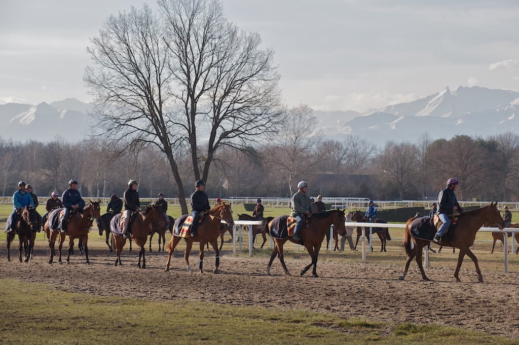 22 CENTRE D-ENTRAINEMENT Chevaux DU DOMAINE DE SERS a PAU